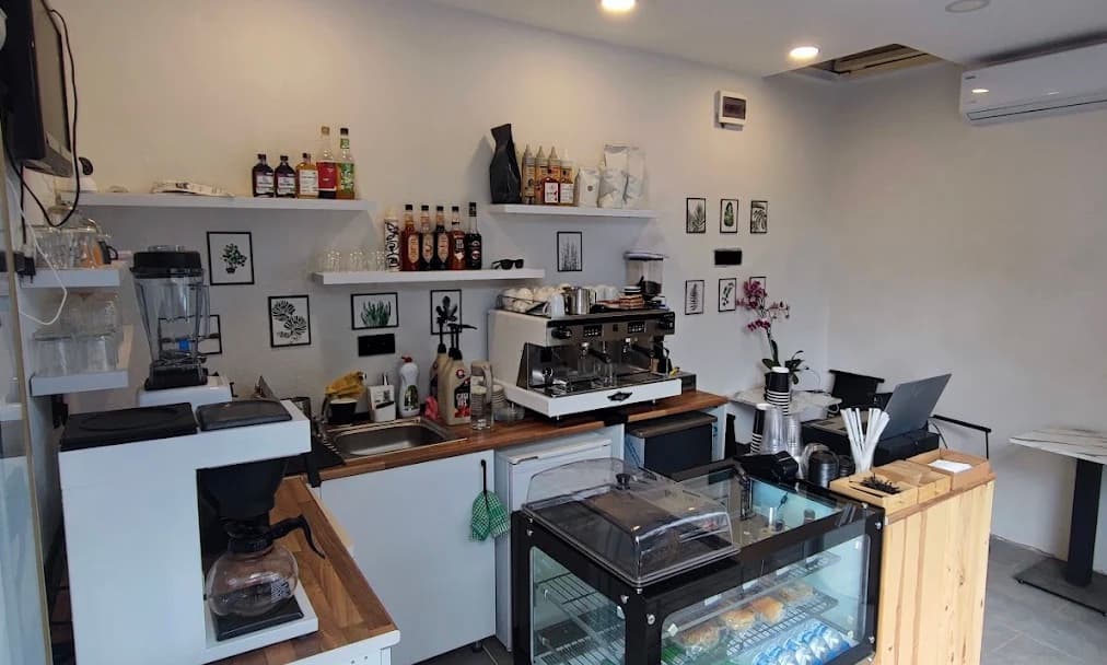 Platz Coffee House Cozy Atmosphere